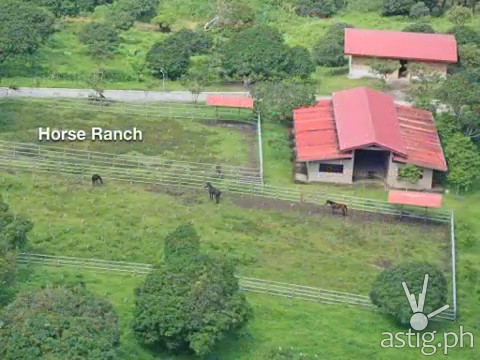 Hacienda Binay horse ranch