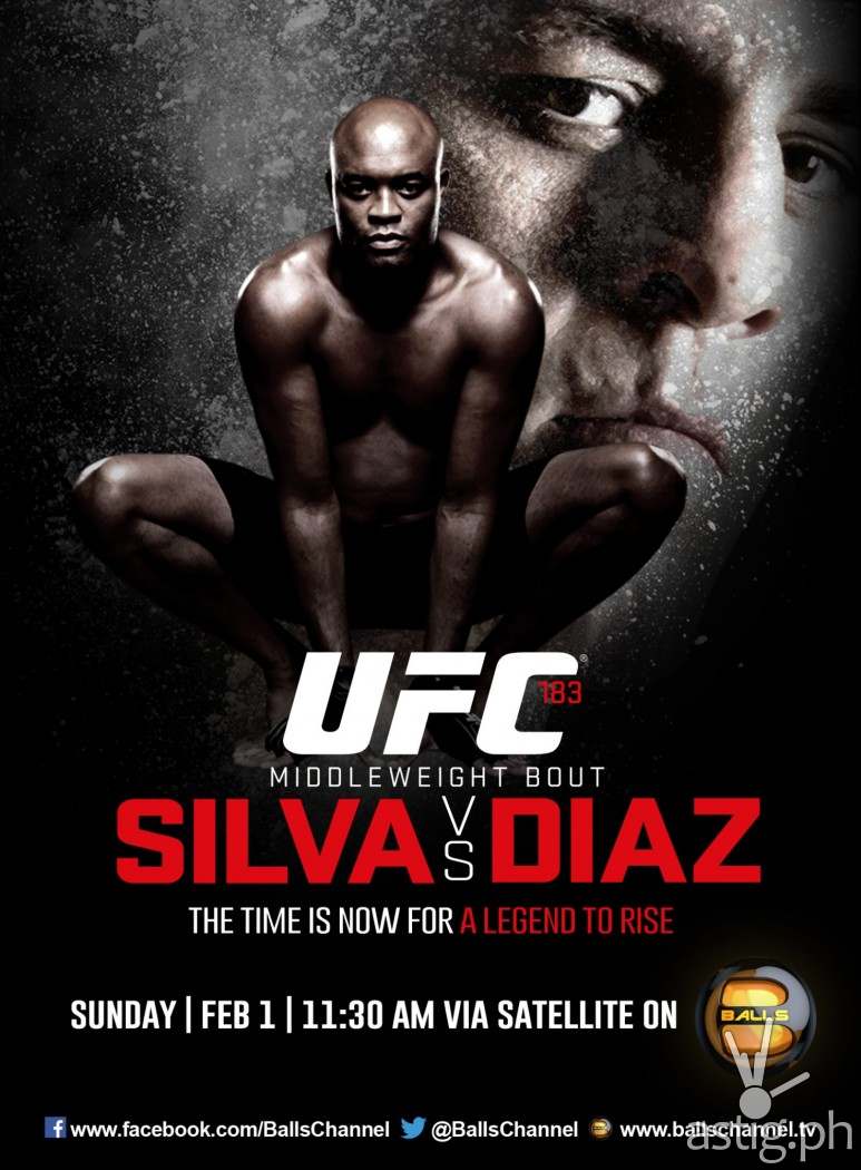 Anderson Silva vs Nick Diaz in UFC 183