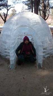Me in an igloo in Nami island. One of many ice sculptures found here.