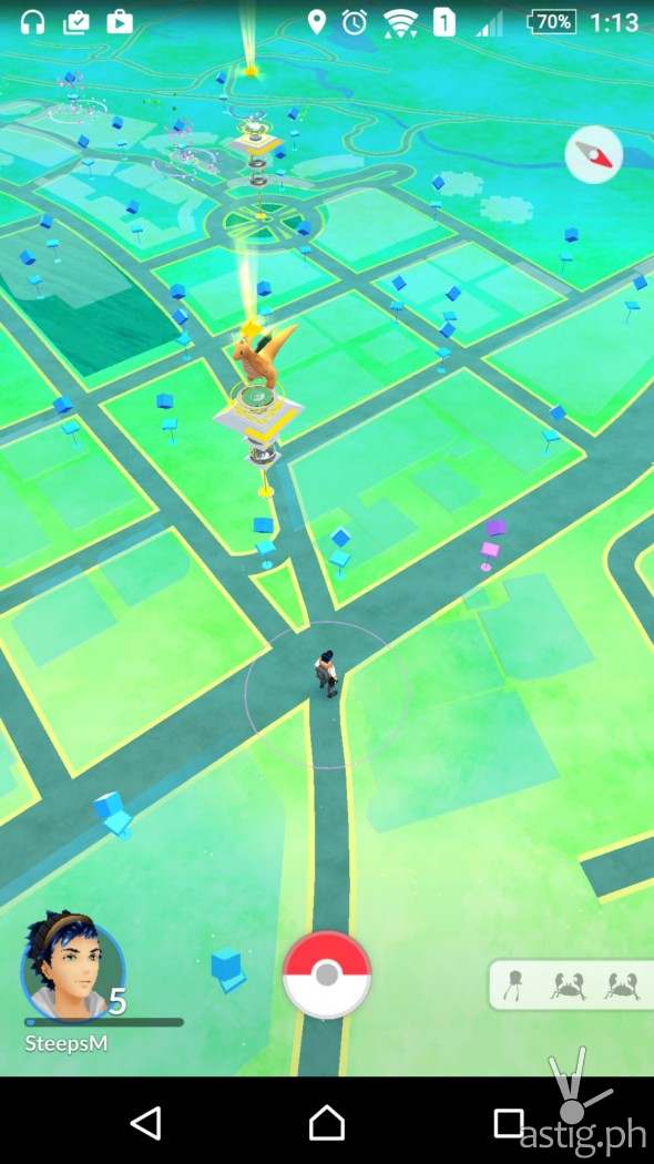 Pokemon Go in-game screenshot