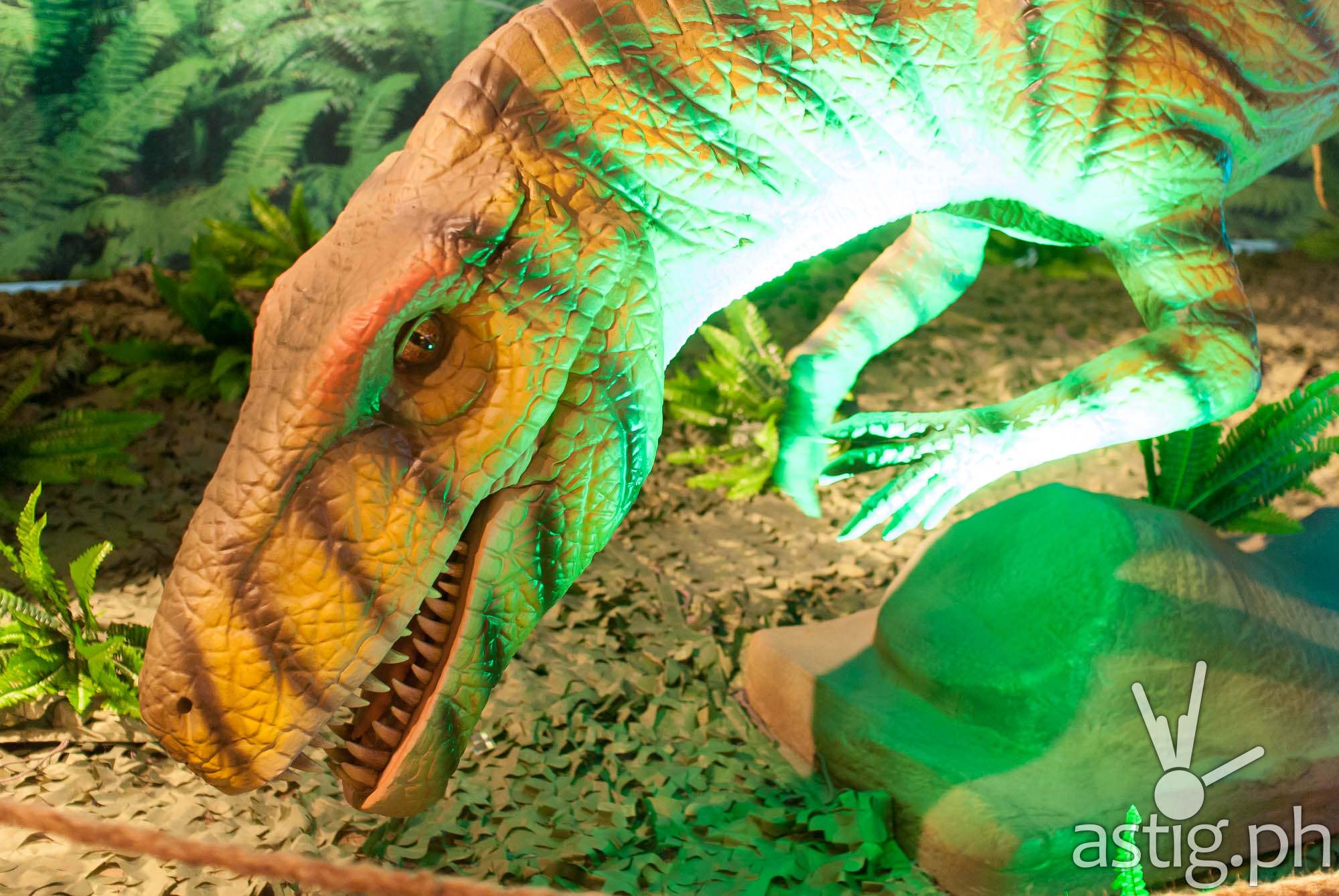 Herrerasaurus - Dinosaurs Around The World exhibit - Mind Museum BGC