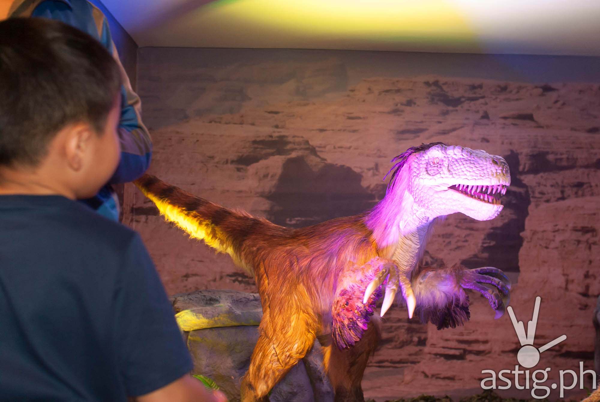 velociraptor museum