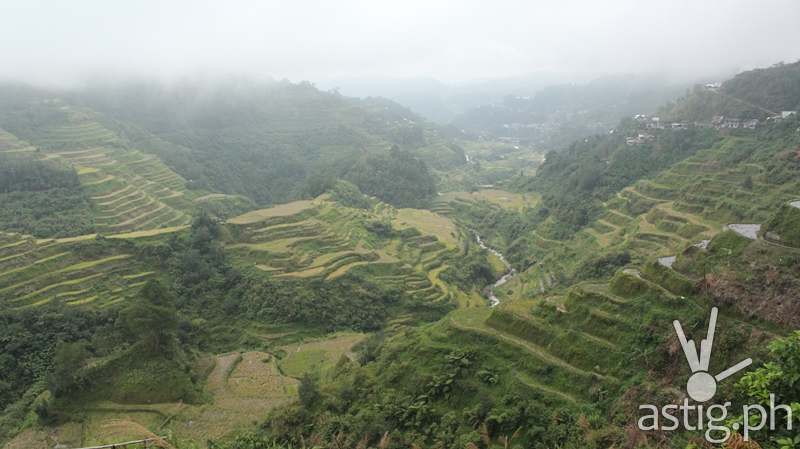 Banaue Rice terraces landscape