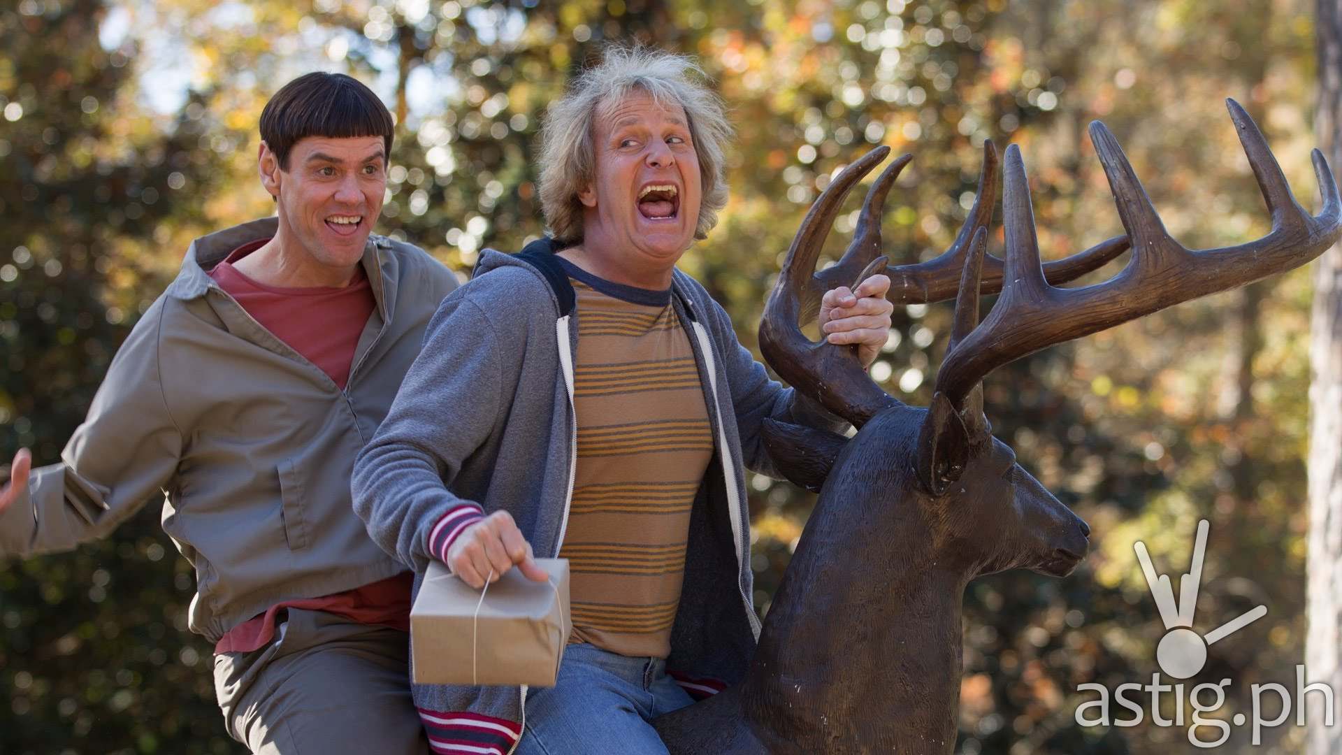 Jim Carrey and Jeff Daniels is DUMB AND DUMBER TO
