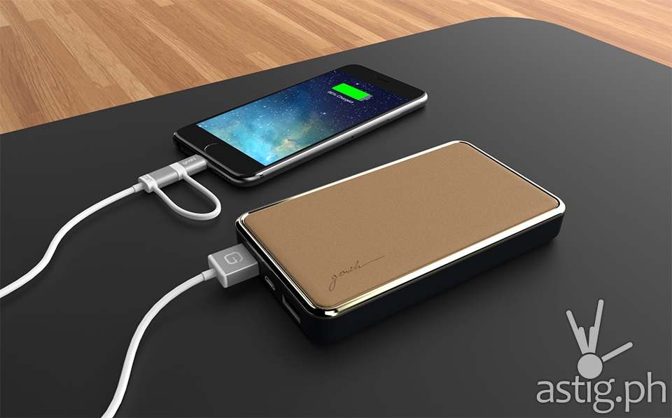 Gosh! Brand creates powerbanks with particular aplomb, as shown by its Joule Haute Powerbank (8,000 mAh) in Tan.