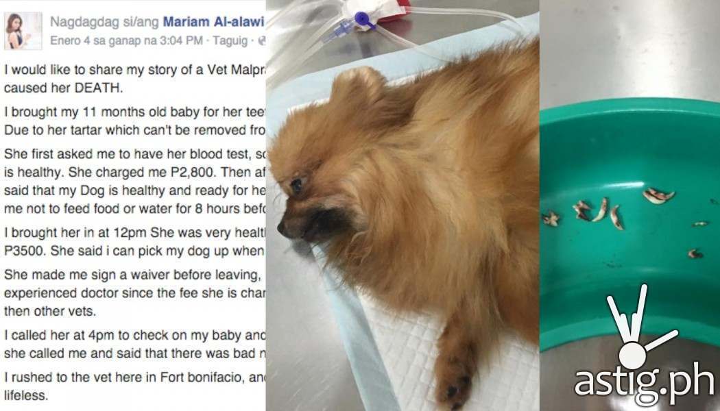 Alleged Vet Malpractice caused dog's death ASTIG.PH