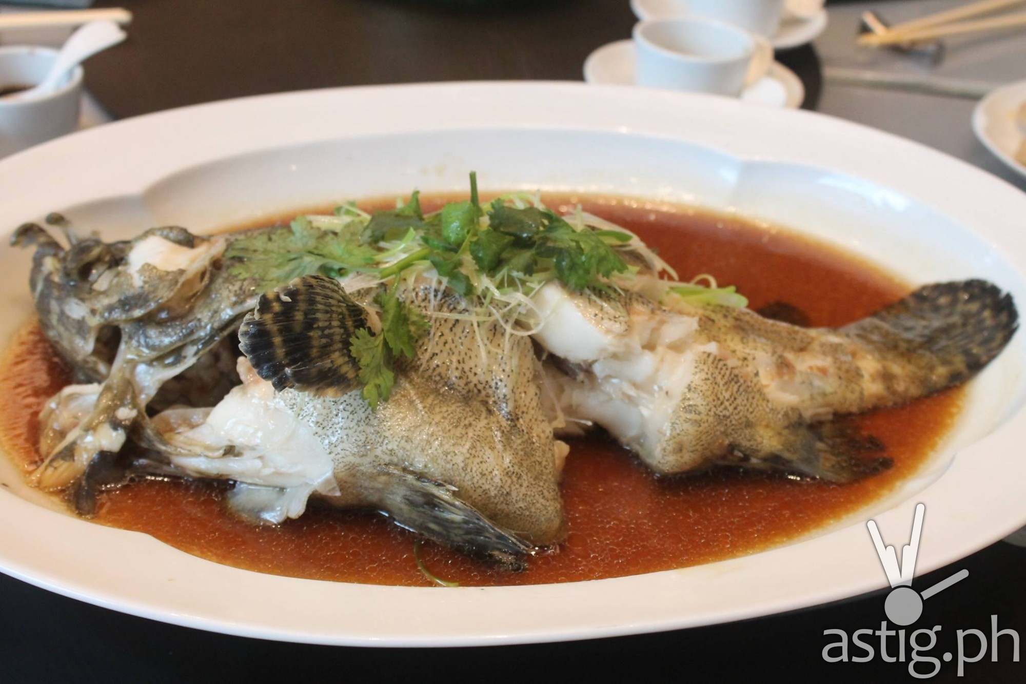 Steamed live tiger Garoupa fish - Man Ho Chinese restaurant