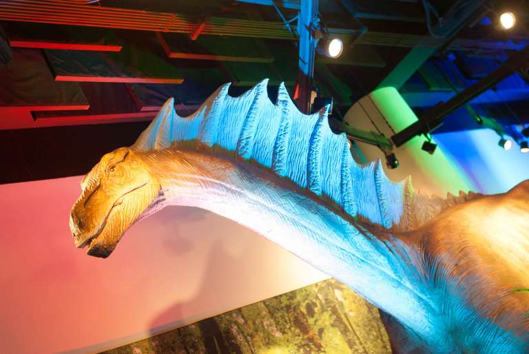 Amargasaurus - Dinosaurs Around The World exhibit - Mind Museum BGC