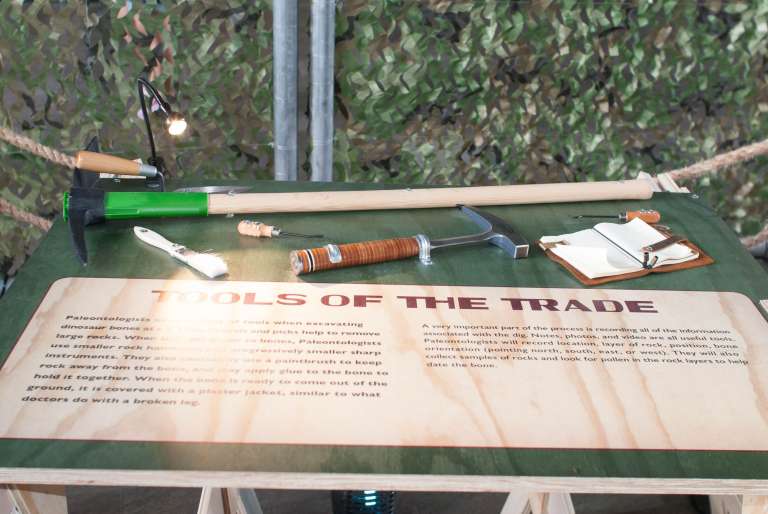 Archaeological tools - Dinosaurs Around The World exhibit - Mind Museum BGC