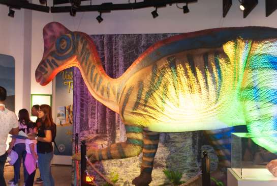 dinosaurs around the world exhibit