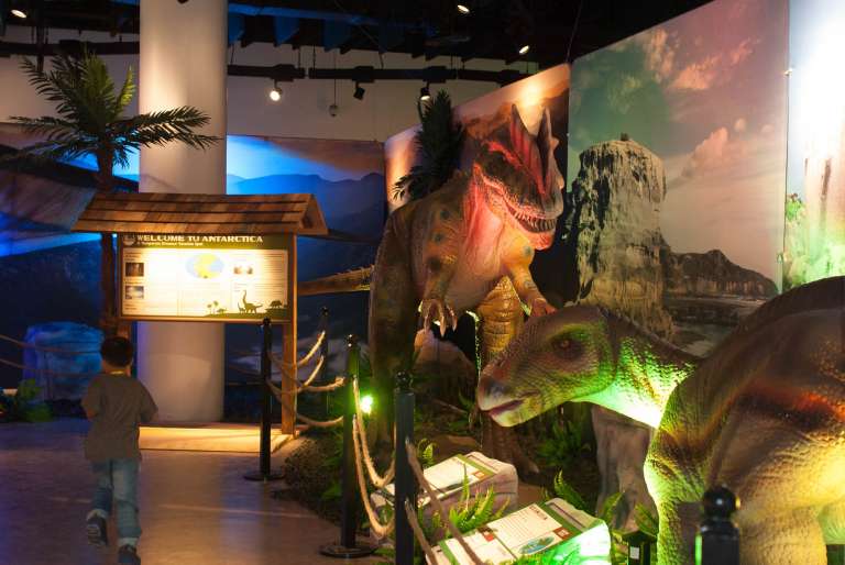 Iguanodon and Neovenator - Dinosaurs Around The World exhibit - Mind Museum BGC