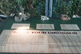 Name your dinosaur - Dinosaurs Around The World exhibit - Mind Museum BGC
