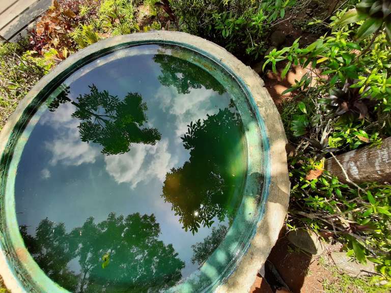 Sample photo - Samsung Galaxy A50