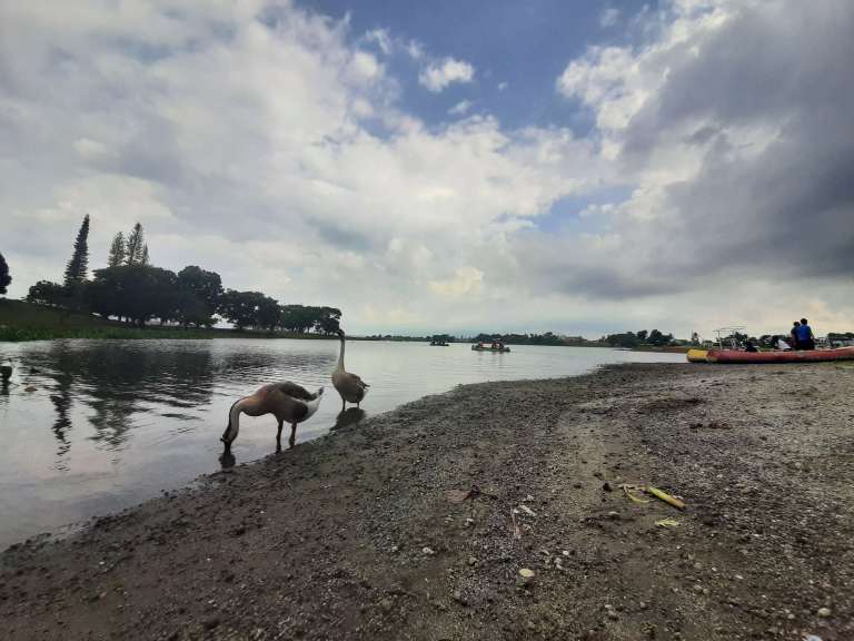 Sample photo - Samsung Galaxy A50