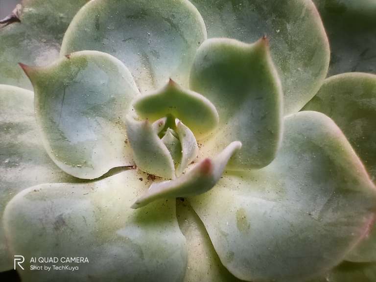 Macro (macro camera) - Realme 5i