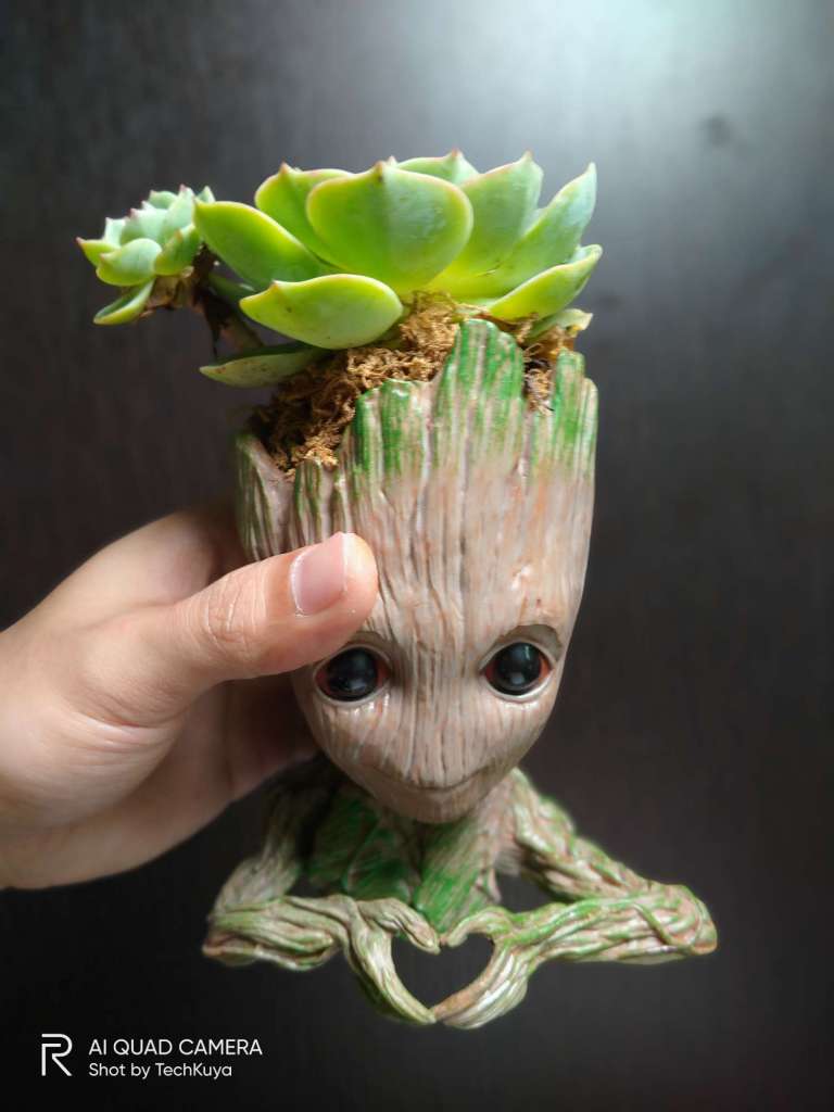 Portrait mode (main camera) - Realme 5i