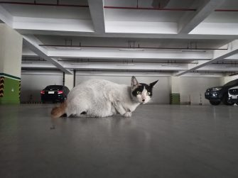 Low light indoors sample photo - Realme 6 (Philippines)