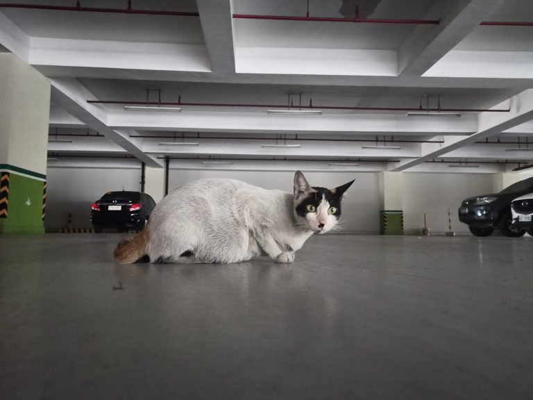 Low light indoors sample photo - Realme 6 (Philippines)