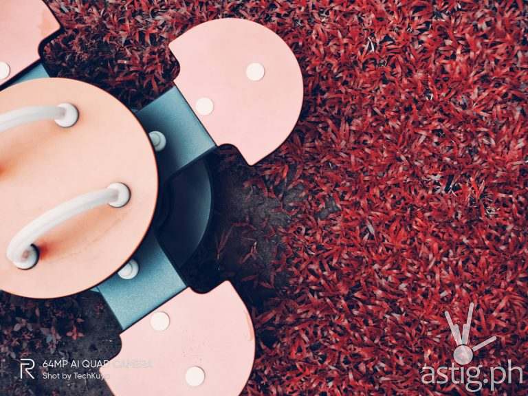 Outdoors Flamingo - realme 7i sample photo (2)