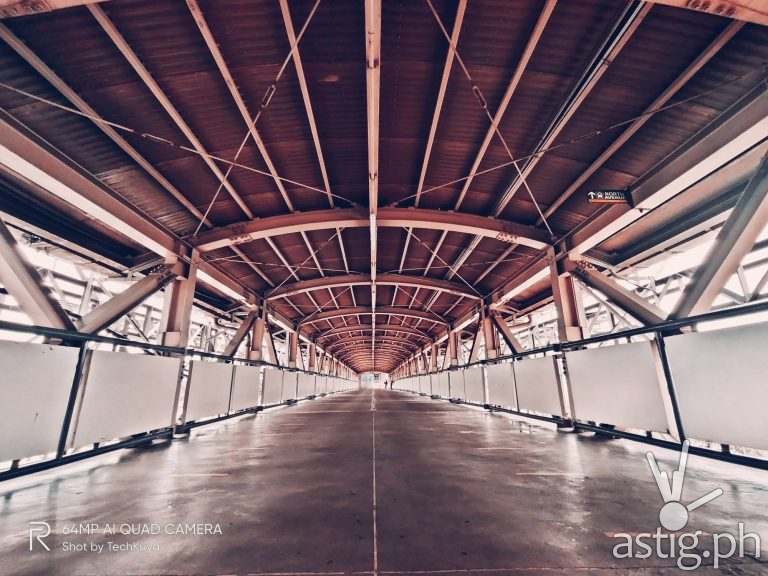 Ultrawide flamingo - realme 7i sample photo