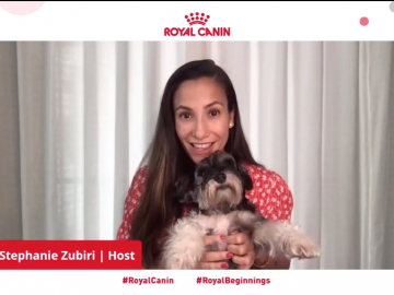 Royal Canin Puppy Webinar - Steph Zubiri and Pepper