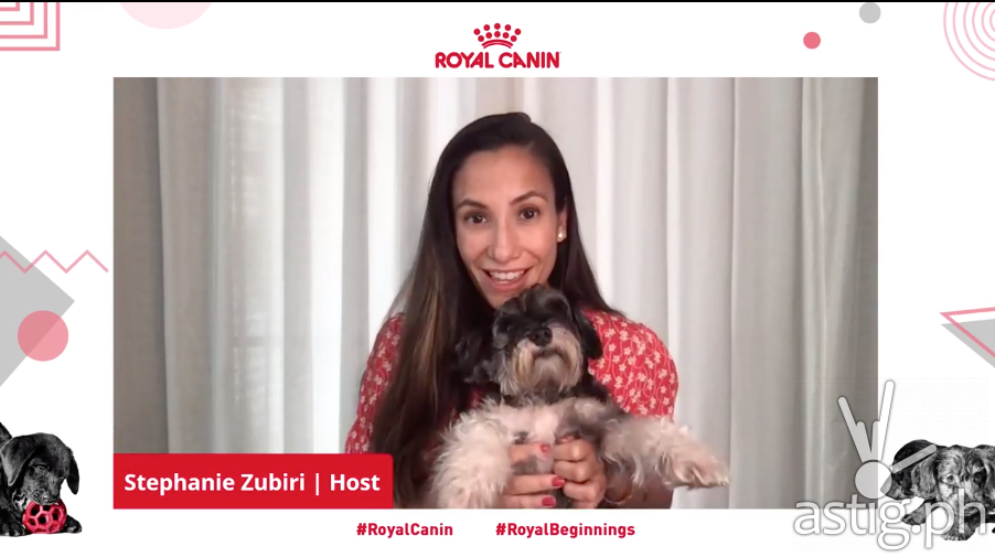 Royal Canin Puppy Webinar - Steph Zubiri and Pepper