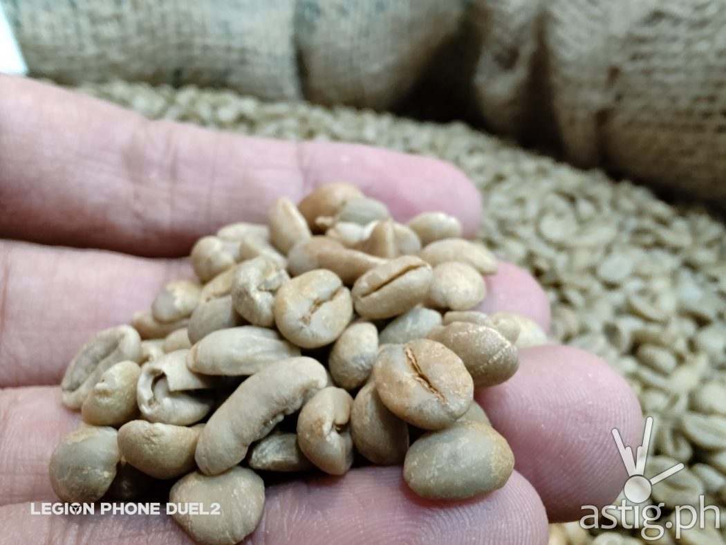 Coffee beans macro - Lenovo Legion Duel 2 sample photo
