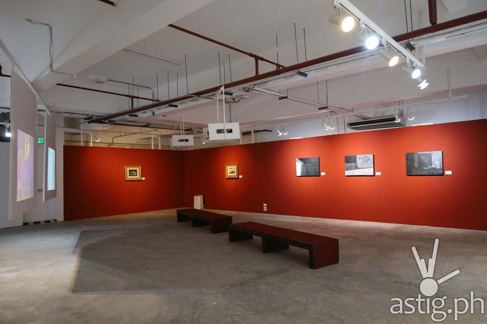 CCP's TIG Gallery's The White Elephant Project on view until August 13