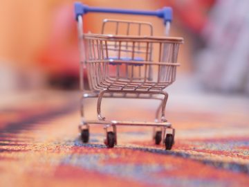 a miniature shopping cart sitting on top of a rug