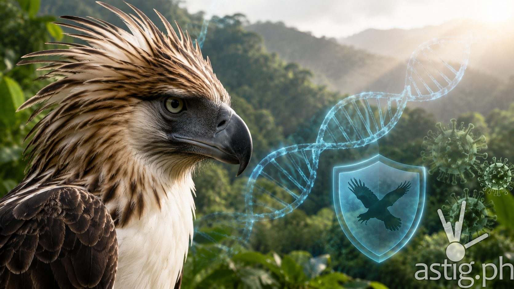 The Philippine eagle has so little genetic diversity that one disease could threaten the species