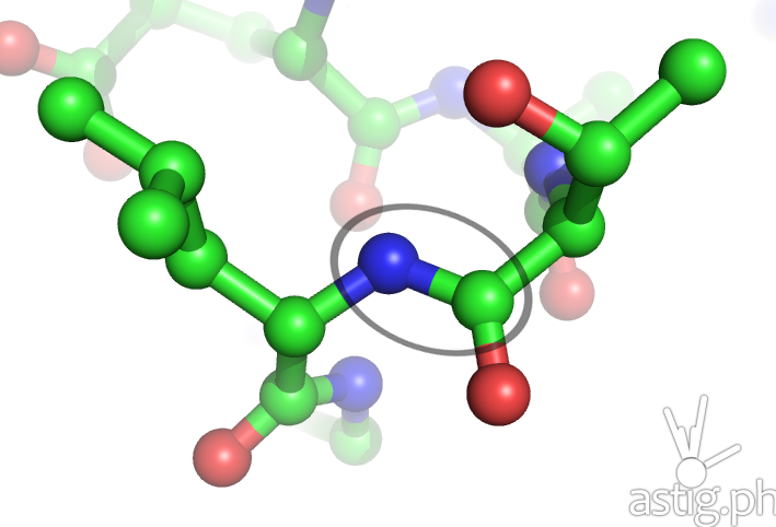 Peptides explained: what they are, what they do, and the real risks