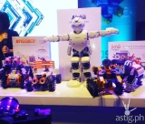 Sporty and Artistic Humanoid Pet Robots