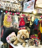Barkbuy Philippines:  Stylish Clothes For Fashionable Dogs