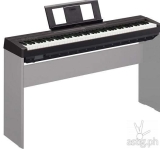 JB and Putin Piano Keyboards Style Fascination