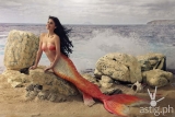 Dyesebel’s shell spotted at TOYCON 2014