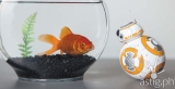 Star Wars BB8 Droid will move, interact, and play holograms [video]