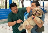 Is Your Pet Protected? Free Rabies Vaccination Drive in QC