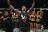 5 reasons why 2016 was the defining year for Pinoy MMA