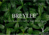 Top Picks from Breylee this #ShopeePH88MegaFlashSale!