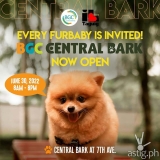 Here’s some pawsome news for pet lovers in the 15-minute city as they schedule the opening of BGC Central Bark 2