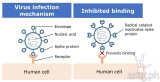 Nissan develops new technology using catalyst active species to inactivate viruses