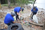 Epson and Haribon Join Forces to Protect Manila Bay’s Wetlands