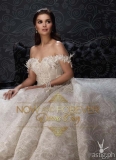 The Original Multimedia Star, Donna Cruz’ Comeback Project