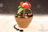 Celebrate Earth Hour with an edible flower pot cake