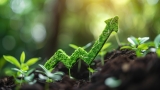Can Southeast Asia become carbon negative by 2025? New report bares possibilities