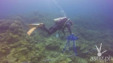 UP marine, computer scientists invent semi-automated fish monitoring device