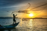 Ateneo-led team improves sunny-day forecasts, advancing Filipino industries