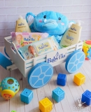 Enjoy Pure, Fun Moments of Baby with Babyflo!