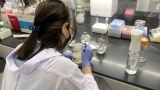UP researchers feel ‘restricted’ by PH gov in GMO, gene editing research