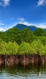 Hamilo Coast — Nurturing Nature for More Than a Decade